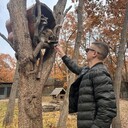  ,   , 33 ,   ,   , c , 