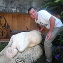 ���������� �����������, ���� ������� ���������, 46 ���, ������������ ��� ������, ����� � ���������, c�������� ���������