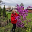 ���������� ������, ���� ������� �����, 58 ���, ������������ ��� c�������� ���������