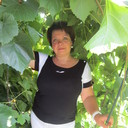 ���������� ����, ���� ������� �������, 51 ���, ������������ ��� ������, ����� � ���������, c�������� ���������