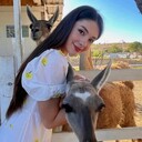 ���������� ������, ���� ������� ���������, 25 ���, ������������ ��� ������, ����� � ���������