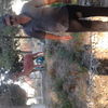  ,   POLAD, 57 ,   