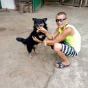 ���������� ��������, ���� ������� ����, 38 ���, ������������ ��� ������, ����� � ���������, c�������� ���������