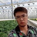 ���������� ������, ���� ������� Dan, 30 ���, ������������ ��� ������, ����� � ���������