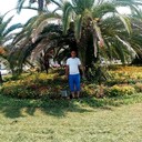  ,   Doni, 41 ,   ,   , c , 