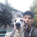 ���������� �������, ���� ������� ��������, 43 ����, ������������ 