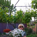  ,   Svetlana, 60 ,   ,   , c 