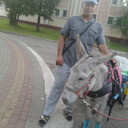  ,   , 57 ,   ,   , c , 