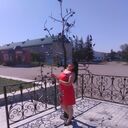 ���������� �������, ���� ������� �����, 38 ���, ������������ ��� ������, ����� � ���������, c�������� ���������