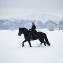 ���������� ������, ���� ������� Ali, 45 ���, ������������ ��� c�������� ���������