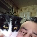  ,   , 52 ,   ,   