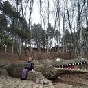 ���������� ��������������, ���� ������� �����, 66 ���, ������������ ��� ����� � ���������, c�������� ���������