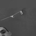 ���������� �����-���������, ���� ����� ���������, 22 ����, ������������ ��� ����� � ���������, c�������� ���������