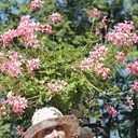 ���������� �����-���������, ���� ������� ������, 37 ���, ������������ ��� ������, ����� � ���������, c�������� ���������