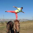  ,   Sasha, 65 ,   ,   , c 