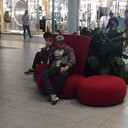  ,   T I G R, 34 ,   ,   , c 