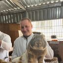 ���������� ��������������, ���� ����� �������, 20 ���, ������������ ��� ������, ����� � ���������, c�������� ���������, ���������