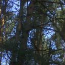  ,   , 55 ,   ,   , c 