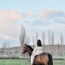 ���������� �����������, ���� ������� �����, 21 ���, ������������ ��� ������, ����� � ���������