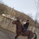 ���������� ������������, ���� ������� P�����, 41 ���, ������������ ��� ������, ����� � ���������