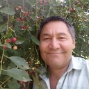  ,   , 49 ,   ,   