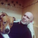 ���������� ������, ���� ������� �������, 44 ����, ������������ ��� ������, ����� � ���������