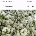  ,   , 71 ,   ,   