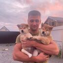 ���������� ���������, ���� ������� ������, 38 ���, ������������ ��� ������, ����� � ���������, c�������� ���������