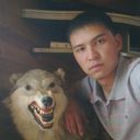  ,   P A N Z E R, 36 ,     , c 