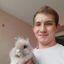   ,   , 29 ,   ,   , c , 