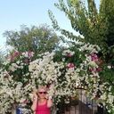 ���������� ������, ���� ������� Elena, 41 ���, ������������ ��� ������, ����� � ���������, c�������� ���������