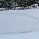 ���������� ������, ���� ������� ����, 37 ���, ������������ ��� ����� � ���������, c�������� ���������, ���������