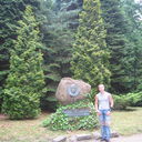 ���������� ����, ���� ������� ������, 38 ���, ������������ 