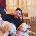 ���������� �����, ���� ������� �����, 33 ����, ������������ ��� ������, c�������� ���������, ���������