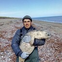  ,   , 41 ,   ,   , c 