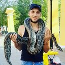 ���������� ��������, ���� ������� ������, 40 ���, ������������ ��� ������, ���������