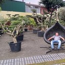 ���������� ������������, ���� ������� �������, 40 ���, ������������ ��� ������, ����� � ���������, c�������� ���������