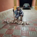 ���������� �������, ���� ������� Hushbaht, 38 ���, ������������ ��� ������, ����� � ���������, c�������� ���������, ���������