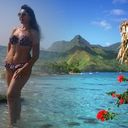 ���������� ������, ���� ������� �����, 53 ����, ������������ ��� ����� � ���������, c�������� ���������