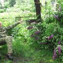  ,   Vanek325, 42 ,   ,   , c 