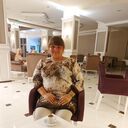  ,   , 29 ,     , c , 