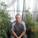 ���������� ��������, ���� ������� ���������, 49 ���, ������������ ��� ����� � ���������, c�������� ���������