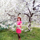 ���������� �������������, ���� ������� �����, 58 ���, ������������ 