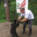  ,   , 52 ,   ,   , c 