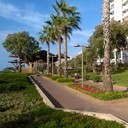 ���������� ������, ���� ������� ��������, 44 ����, ������������ ��� ������