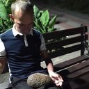 ���������� ����, ���� ������� ���������, 33 ����, ������������ ��� ������, ����� � ���������