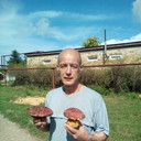  ,   , 54 ,   