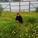 ���������� ������, ���� ������� �����, 33 ����, ������������ ��� ������, ����� � ���������