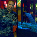 ���������� �������, ���� ������� ������, 45 ���, ������������ ��� ������