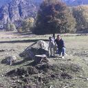 ���������� �����������, ���� ������� ��������, 45 ���, ������������ ��� ������, ����� � ���������